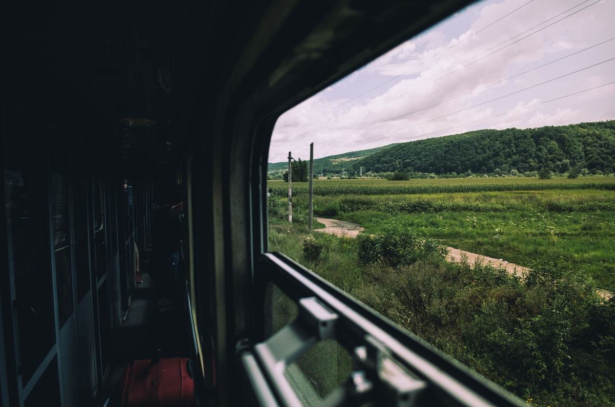 Widok z okna pociągu na zielone pola